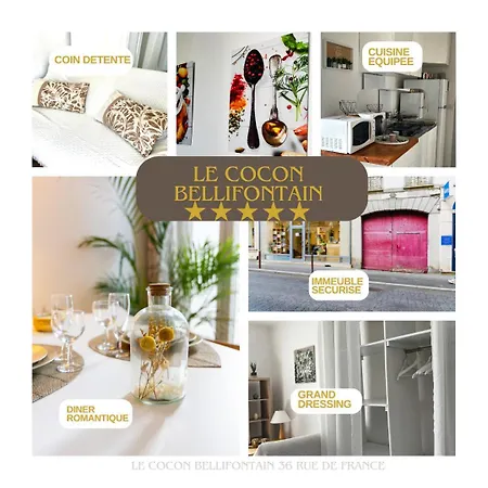 Apartment Le Cocon De - Centre-ville, Proche Insead & Chateau Fontainebleau