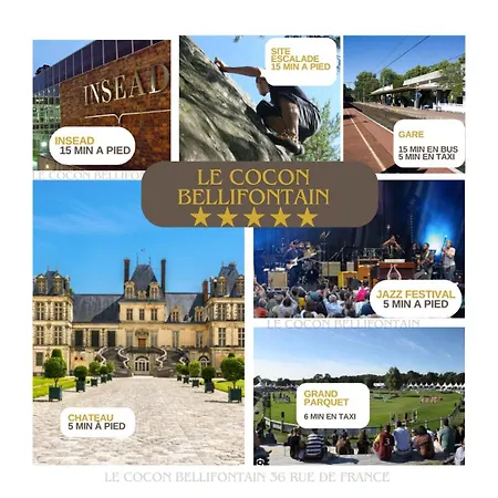 Apartment Le Cocon De - Centre-ville, Proche Insead & Chateau Fontainebleau