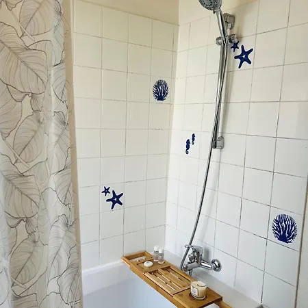 Cocon Deluxe Elegant Et Confortable Au Centre De Fontainebleau, Proche Insead דירה