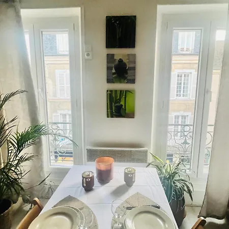 Apartment Le Cocon De - Centre-ville, Proche Insead & Chateau Fontainebleau