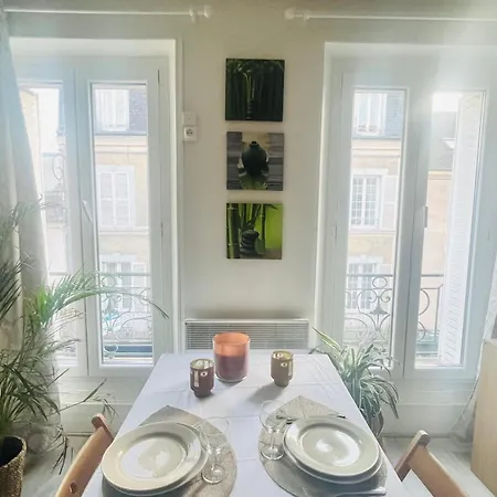 Cocon Deluxe Elegant Et Confortable Au Centre De Fontainebleau, Proche Insead דירה *