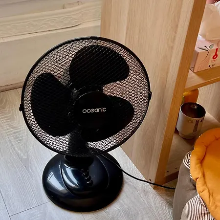 Cocon Deluxe Elegant Et Confortable Au Centre De Fontainebleau, Proche Insead דירה *