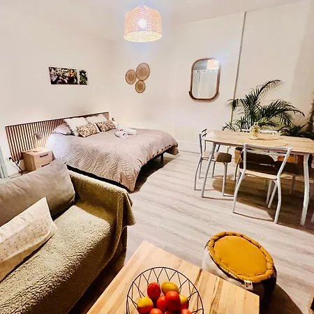 Cocon Deluxe Elegant Et Confortable Au Centre De Fontainebleau, Proche Insead דירה פונטנבלו