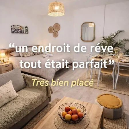 Cocon Deluxe Elegant Et Confortable Au Centre De Fontainebleau, Proche Insead *